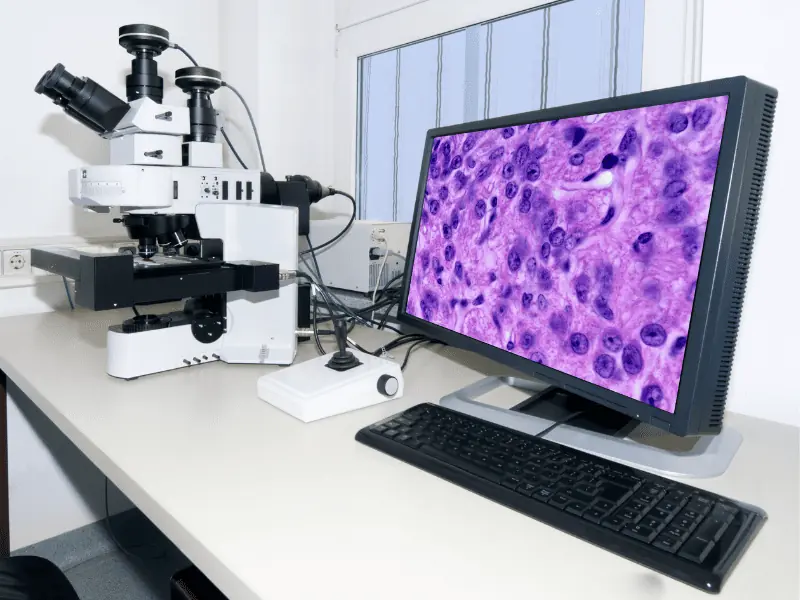 Histopathology Digitalization